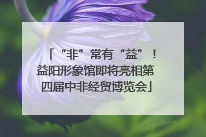 “非”常有“益”！益阳形象馆即将亮相第四届中非经贸博览会