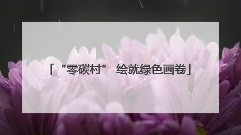 “零碳村” 绘就绿色画卷