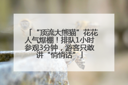 “顶流大熊猫”花花人气爆棚！排队1小时参观3分钟，游客只敢讲“悄悄话”