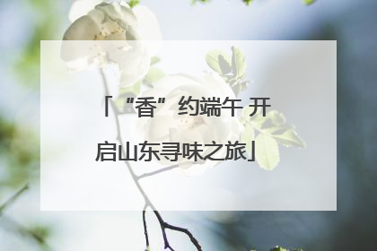 “香”约端午 开启山东寻味之旅