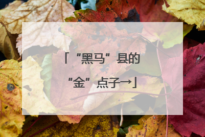 “黑马”县的“金”点子→