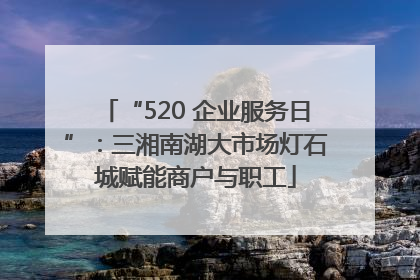 “520 企业服务日”：三湘南湖大市场灯石城赋能商户与职工