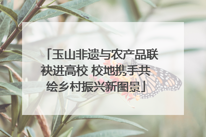 玉山非遗与农产品联袂进高校 校地携手共绘乡村振兴新图景