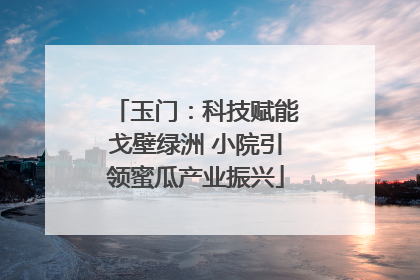 玉门：科技赋能戈壁绿洲 小院引领蜜瓜产业振兴