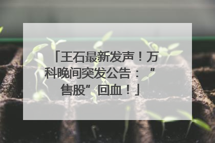 王石最新发声！万科晚间突发公告：“售股”回血！