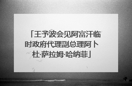 王予波会见阿富汗临时政府代理副总理阿卜杜·萨拉姆·哈纳菲