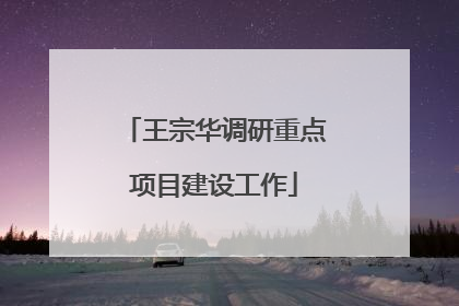 王宗华调研重点项目建设工作