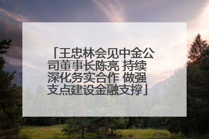 王忠林会见中金公司董事长陈亮 持续深化务实合作 做强支点建设金融支撑