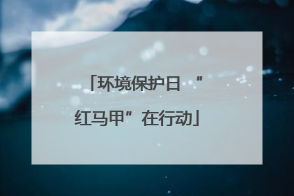 环境保护日 “红马甲”在行动