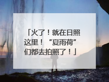 火了！就在日照这里！“夏雨荷”们都去拍照了！