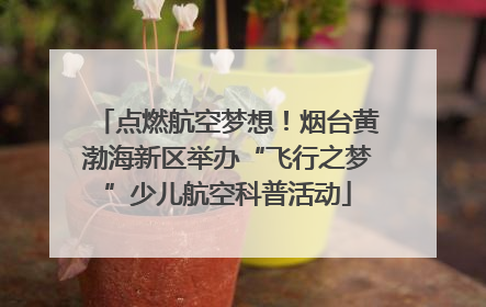 点燃航空梦想！烟台黄渤海新区举办“飞行之梦”少儿航空科普活动