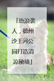 热浪袭人，德州沙王河公园打造清凉秘境