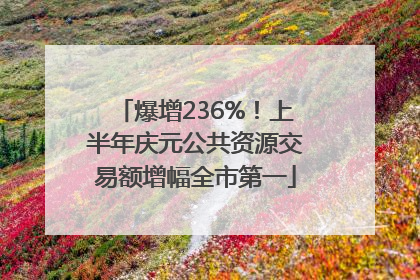 爆增236%！上半年庆元公共资源交易额增幅全市第一
