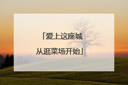 爱上这座城 从逛菜场开始