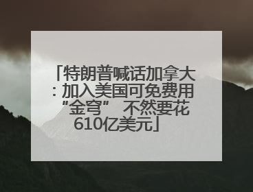 特朗普喊话加拿大：加入美国可免费用“金穹” 不然要花610亿美元
