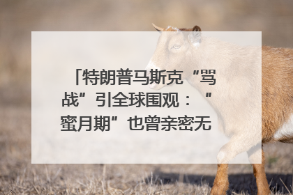 特朗普马斯克“骂战”引全球围观：“蜜月期”也曾亲密无间｜国际观察