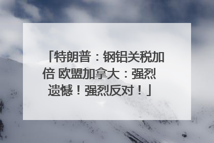 特朗普：钢铝关税加倍 欧盟加拿大：强烈遗憾！强烈反对！