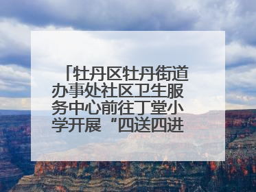 牡丹区牡丹街道办事处社区卫生服务中心前往丁堂小学开展“四送四进四提升”及无烟日宣传活动