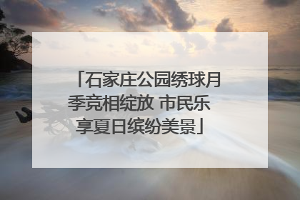 石家庄公园绣球月季竞相绽放 市民乐享夏日缤纷美景