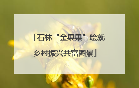 石林“金果果”绘就乡村振兴共富图景