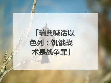 瑞典喊话以色列：饥饿战术是战争罪