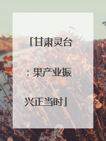 甘肃灵台：果产业振兴正当时