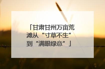 甘肃甘州万亩荒滩从“寸草不生”到“满眼绿意”