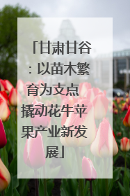 甘肃甘谷：以苗木繁育为支点 撬动花牛苹果产业新发展