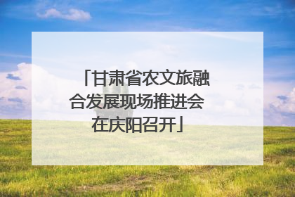 甘肃省农文旅融合发展现场推进会在庆阳召开