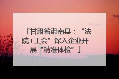 甘肃省肃南县：“法院+工会”深入企业开展“精准体检”