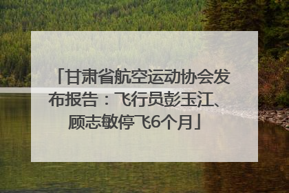 甘肃省航空运动协会发布报告：飞行员彭玉江、顾志敏停飞6个月