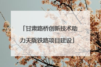 甘肃路桥创新技术助力天陇铁路项目建设