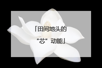 田间地头的“芯”动能