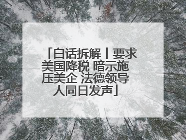 白话拆解丨要求美国降税 暗示施压美企 法德领导人同日发声