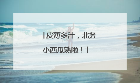 皮薄多汁，北务小西瓜熟啦！