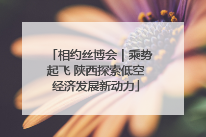 相约丝博会｜乘势起飞 陕西探索低空经济发展新动力