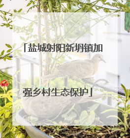 盐城射阳新坍镇加强乡村生态保护