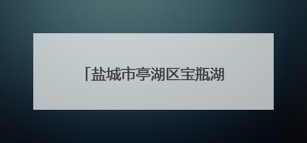 盐城市亭湖区宝瓶湖街道街道多维度开展安全生产月宣传活动