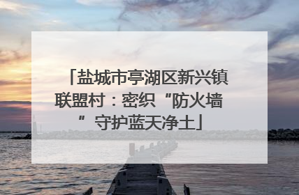 盐城市亭湖区新兴镇联盟村：密织“防火墙”守护蓝天净土