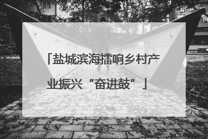 盐城滨海擂响乡村产业振兴“奋进鼓”