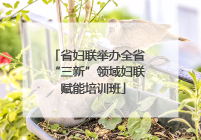 省妇联举办全省“三新”领域妇联赋能培训班