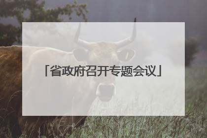 省政府召开专题会议