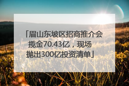 眉山东坡区招商推介会揽金70.43亿，现场抛出300亿投资清单
