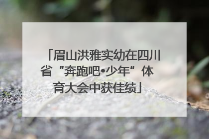 眉山洪雅实幼在四川省“奔跑吧•少年”体育大会中获佳绩