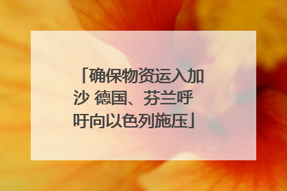 确保物资运入加沙 德国、芬兰呼吁向以色列施压