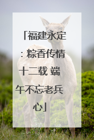 福建永定：粽香传情十二载 端午不忘老兵心