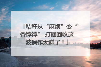 秸秆从“麻烦”变“香饽饽” 打捆回收这波操作太赚了！