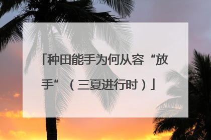 种田能手为何从容“放手”（三夏进行时）