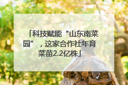 科技赋能“山东南菜园”，这家合作社年育菜苗2.2亿株