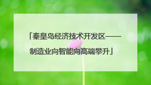 秦皇岛经济技术开发区——制造业向智能向高端攀升